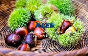 Machine à décortiquer les châtaignes à haut rendement / Machine à peler les châtaignes / Machine à <span class=keywords><strong>éplucher</strong></span> les châtaignes - Product Image 6