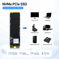 SSD Internal M.2 NVMe PCIe 3.0 1TB Berkinerja Tinggi 2200MB/s Kecepatan Baca, Plastik dengan Logo Kustom untuk Promosi Usaha Kecil