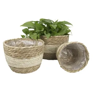 실내 플라스틱 코팅 다기능 저장을 가진 자연적인 Seagrass 재배자 바구니 시골풍 화분 덮개 식물 콘테이너