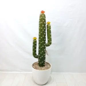 Популярная пластиковая имитация мини Декоративные Искусственные Растения Бонсай Кактус