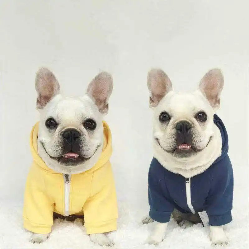 China Groothandel Ontwerpers Hondenkleding Herfst Nieuwe Eenvoudige Effen Kleur Royale Comfortabele Mode Hond Hoodie Huisdier Kleding Voor Hond