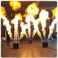 Machine professionnelle audio-vidéo et d'éclairage pour effets de flamme en extérieur et en intérieur, lance-flammes de scène DJ DMX télécommandé