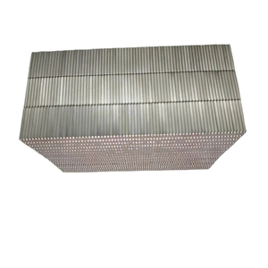 Magneti Rettangolari in Terre <span class=keywords><strong>Rare</strong></span> 30x10x3 30x10x5 40x20x10 Potenti Magneti a Barra per Impieghi Gravosi - Product Image 2