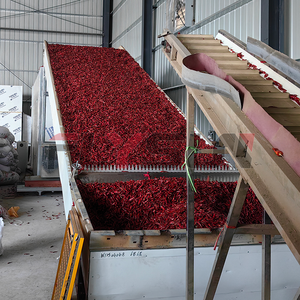 Equipo de Secado de <span class=keywords><strong>Pimientos</strong></span> <span class=keywords><strong>Verdes</strong></span> de Flujo Continuo Industrial con Control PLC, Alta Eficiencia y Baja Tasa de Rotura - Product Image 5