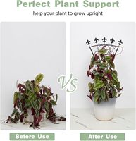 Treillis en fer forgé en forme d'éventail, support métallique pour plantes grimpantes en pot, pour la décoration intérieure et extérieure du jardin (lierre, clématites)