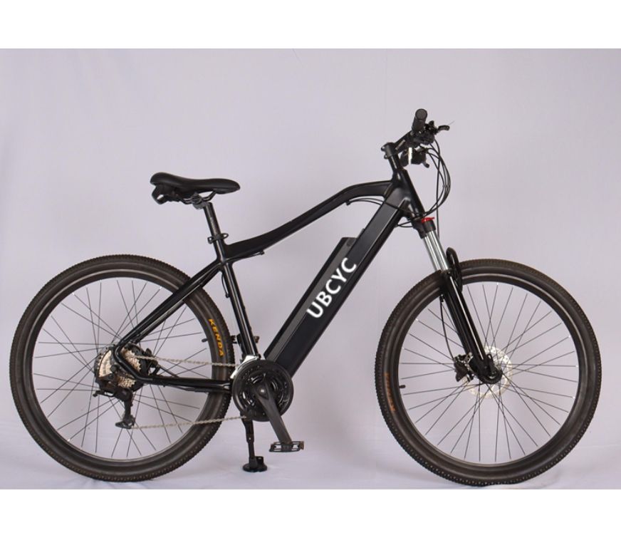 How to Choose the Best Electric Bike for Adults GT20: Buying Guide 2024