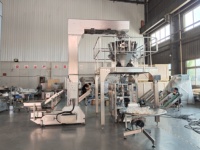 Machine d'emballage verticale automatique pneumatique pour chips de pommes de terre Weeshine WPV200 SUS304, contrôlée par PLC, haute précision, film laminé