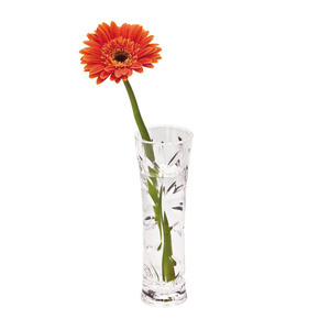 Florero <span class=keywords><strong>de</strong></span> <span class=keywords><strong>plástico</strong></span> <span class=keywords><strong>de</strong></span> alta calidad, miniflorero transparente irrompible para decoración <span class=keywords><strong>de</strong></span> mesa - Product Image 6
