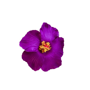 Penjualan langsung warna <span class=keywords><strong>Hawaii</strong></span> bunga Hibiscus pesta aksesoris rambut bunga besar klip rambut busa aksesori kepala pengantin <span class=keywords><strong>Hawaii</strong></span> - Product Image 4