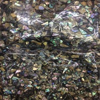 Morceaux de coquille d'ormeau naturelle de 1 à 7 mm, couleur naturelle, pour la décoration des ongles