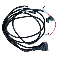 Vente en gros usine de faisceau de câblage CC pour marchepied électrique de voiture, couvre-benne, faisceau de câblage de commande par pédale pour marchepied de camping-car