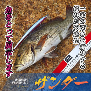 Leurre dur flottant Hunthouse Minnow 210 mm 34 g, Jerkbait à longue portée, appâts de pêche à la traîne en eau salée - Product Image 4