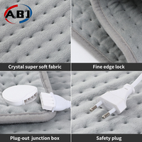 Chauffe-plat d'hiver 110V 12x24 pouces en flanelle/velours, lavable, chauffage rapide 60W, contrôle de la température, protection contre la surchauffe, télécommande, usage domestique