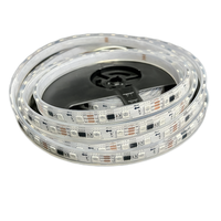 RGB + W IC полноцветные 5050 светодиодные гибкие полосы DC12V 24V CRI90 ROHS CE 12 мм IP20/65/67 освещение украшения