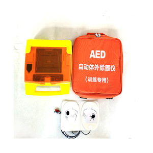 Maniquí de Enfermería para RCP de Medio Cuerpo con DEA para Ciencias Médicas - Product Image 5