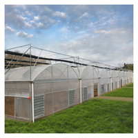 40X20 Local Vanille Horticole Solaire Photovoltaïque Ferme Chauffage Tuyaux d'Eau Jardin Serre Cadre Avec Porte