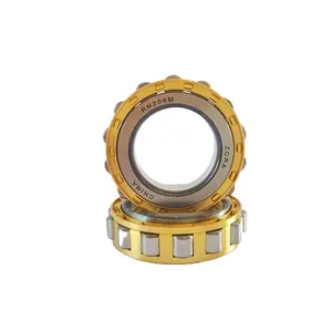 Reducer Eccentric Roller Bearings RN205 206 207 208 209 219 222 228EM Cylindrical roller bearing