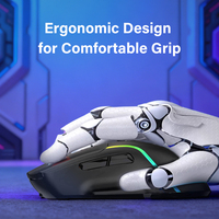 R8 OEM grosir khusus ergonomis isi ulang Rgb BT 2.4Ghz Mouse nirkabel