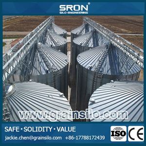 Acier Bacs De Stockage pour D'<span class=keywords><strong>orge</strong></span>/Grains De Semences De Maïs Silo de Stockage À Vendre - Product Image 6