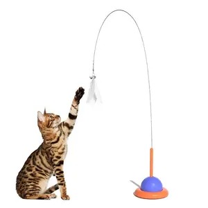 Cat Fishing Pole Toy, 1 Retractable Cat Wand 4 Nepal