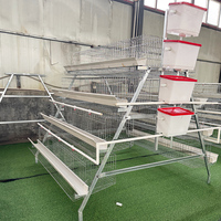 Vente directe d'usine, cage à poules pondeuses de type A, 4 niveaux, 4 portes, cages à batterie pour poules pondeuses, élevage de volailles, construction de bâtiments