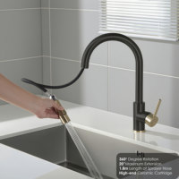 Robinet de cuisine de style britannique à tirette Finition noire et dorée Robinet de cuisine de construction en laiton pour la cuisine
