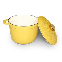 Cocotte en fonte émaillée Chaque casserole convient à un usage unique Dia20cm * H14cm
