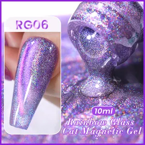 BORN PRETTY 10ml 6 Farben Double Light Cat Magnetisches UV-Gel Nagel Regenbogen Gesundheit und Schönheit Cat Eye Gel