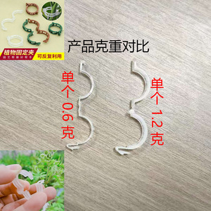 Abrazaderas de plástico para plantas, para enredaderas y plántulas, clips de fijación duraderos para jardín, para frutas, verduras y plantas trepadoras - Product Image 5