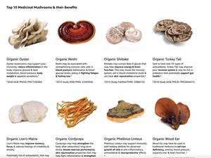 Grosir Jar Makanan Hijau Jamur Superfood 10 Suplemen Reishi Chaga Cordyceps Shiitake Singa Mane Bubuk Ekor Turki - Product Image 6