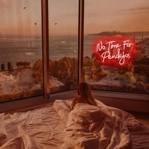 No Time for Pendejos Neon Sign Red Led Neon Light para decoración <span class=keywords><strong>de</strong></span> pared Regulable USB Idioma español Letreros <span class=keywords><strong>de</strong></span> neón - Product Image 5