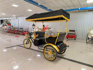 Tricycle manuel à 3 roues Becak Rickshaw Cyclo - Product Image 4