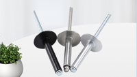 304/316 Acier Inoxydable ORLOCK INOX Rivet Dôme Tête Unigrip Pop Blind Rivet Grip Tit HR Rivets M3.2 M4 M4.8