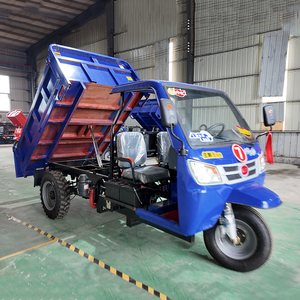 Tricycle à essence à <span class=keywords><strong>3</strong></span> <span class=keywords><strong>roues</strong></span> le plus vendu, avec grande boîte de transport, idéal pour les entreprises de livraison - Product Image 1
