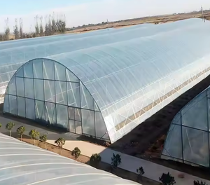Lớn duy nhất nhà kính nông nghiệp phim <span class=keywords><strong>LDPE</strong></span> Polyethylene trong suốt không thấm nước dày tấm nhựa - Product Image 2