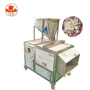 Almond Slicing Machine Manufacturers