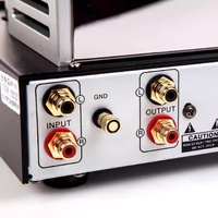 Préamplificateur Phono RIAA YAQIN MS-23B MM 12AX7 avec Construction en Aluminium pour Amplificateur Domestique