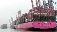 Transporteur de fret maritime en Chine: D2D rapide et bon marché vers le Mexique, l'Amérique latine et les Caraïbes | FCL/LCL | Termes DAP/DDU | 15-30 jours
