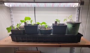 Thêm sức mạnh sâu Vườn Ươm phẳng cây giống phát triển khay thủy canh thức ăn gia súc hệ thống cho bán vườn phụ kiện bán buôn - Product Image 2