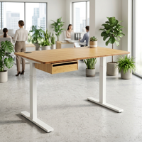 Bureau en bambou écologique avec plateau en bambou, cadre réglable en hauteur électriquement, bureau assis-debout, bureau relevable