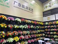 Hangyang Mini Ornements de fleurs artificielles en pot créatifs, best-seller, petite plante décorative pour la maison et le bureau