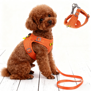 YooGo YG-885 Haustier-Geschirr-Weste - 100% Nylon Cartoon-Spitze & Nieten Blumenmuster 1,5m Nylon-Leine für Hunde & Katzen - Product Image 4