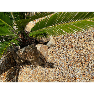 Drainage durable de gravier blanc jaune de rouille de pierre concassée de petite pierre naturelle pour l'usage de jardin - Product Image 1