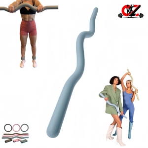 Barra de Curl Ergonómica CZFIT de Hierro Fundido para Yoga, Press de Curl, Remo, Sentadillas, Ejercicios de Cuerpo Completo, Accesorio Ligero - Product Image 1