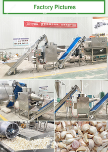Spicchio di aglio rottura/che separa macchina price|hot automatico di vendita ultime aglio spicchio machine|garlic rottura della macchina - Product Image 6