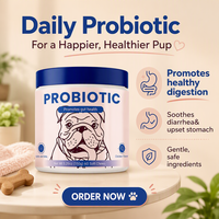 Friandises à mâcher probiotiques pour chiens, 60 unités, 150g, favorise la santé intestinale, saveur poulet, 100% naturel, équilibre digestif quotidien, sûr et optimal