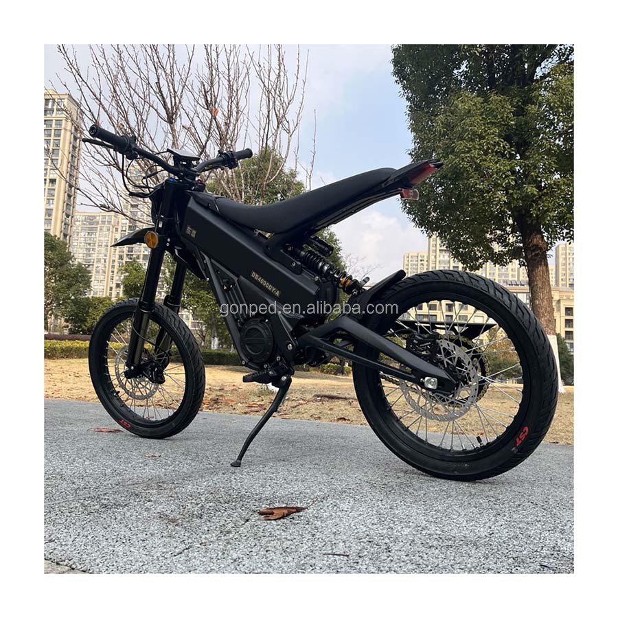 Electric Dirt Bikes Fun Thrill for Kids Adults