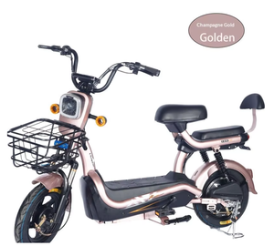 Bicicleta Urbana de Ocio con Motor Central de 500W, Batería de Plomo-Ácido, 3 Velocidades, Estructura de Acero, Absorción de Impactos Eficiente, ZXC-193, Motor Central Eléctrico - Product Image 1