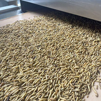 Vente directe d'usine, prix bas, larves de mouches soldat noires pour poulets, oiseaux, friandises pour animaux de compagnie
