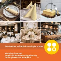 Serviettes de table jetables en papier Airlaid de haute qualité, colorées, sans poussière, 1 pli, 40*40CM, pliées en 1/4, couleur beige, pour hôtels et restaurants